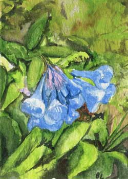 "Bluebells" by Beverly Larson, Oregon WI - Watercolor